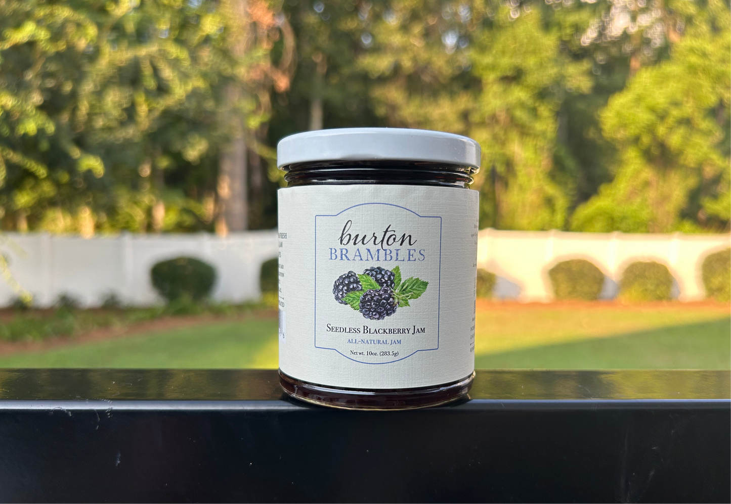 Seedless Blackberry Jam