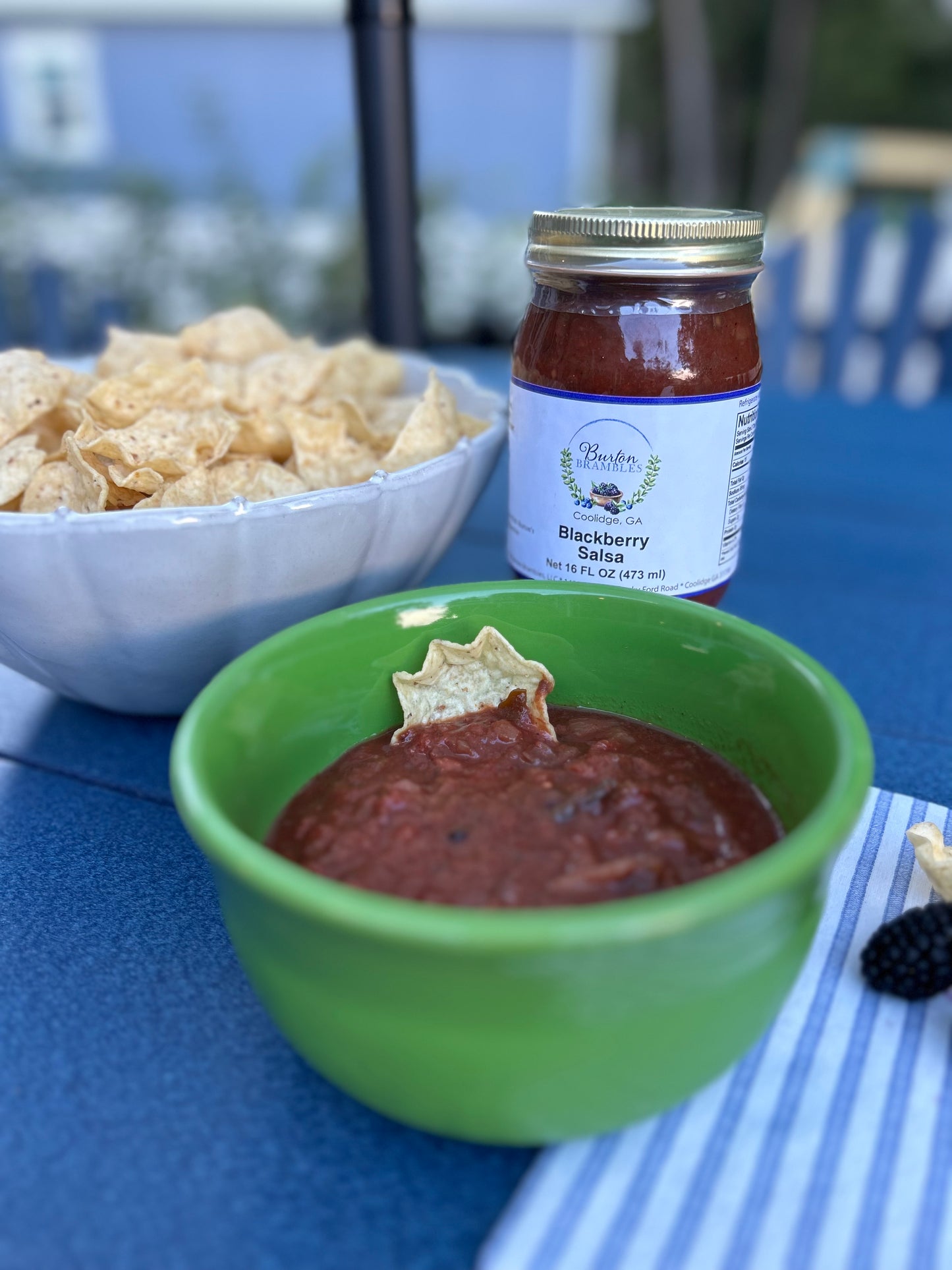 Blackberry Salsa